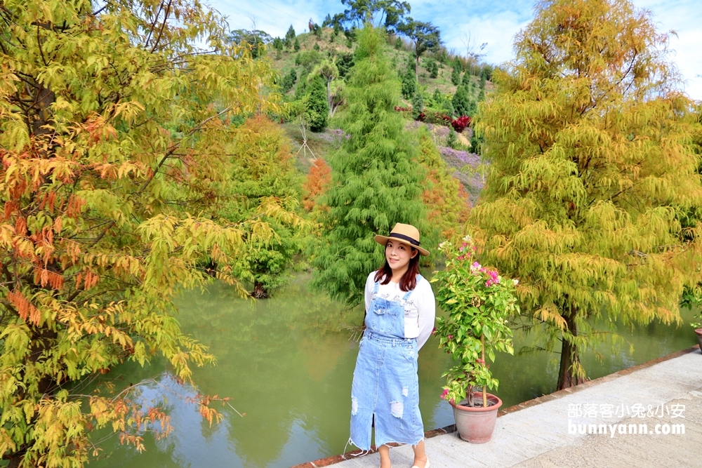 苗栗三灣落羽松秘境，漸層色水上落羽松林，美如仙境般夢幻之景~