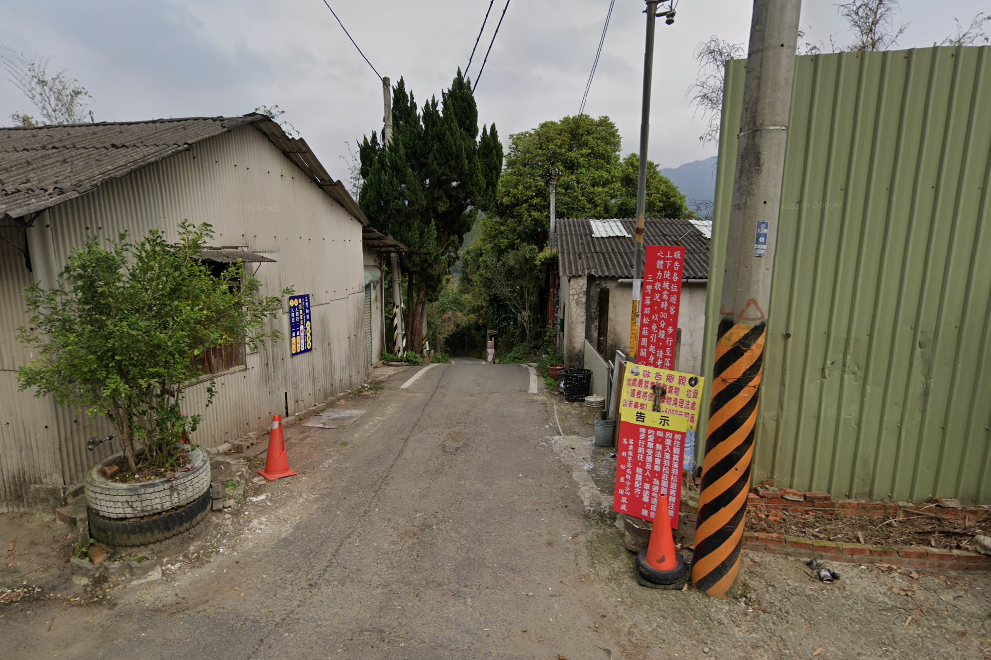 苗栗三灣落羽松秘境，漸層色水上落羽松林，美如仙境般夢幻之景~