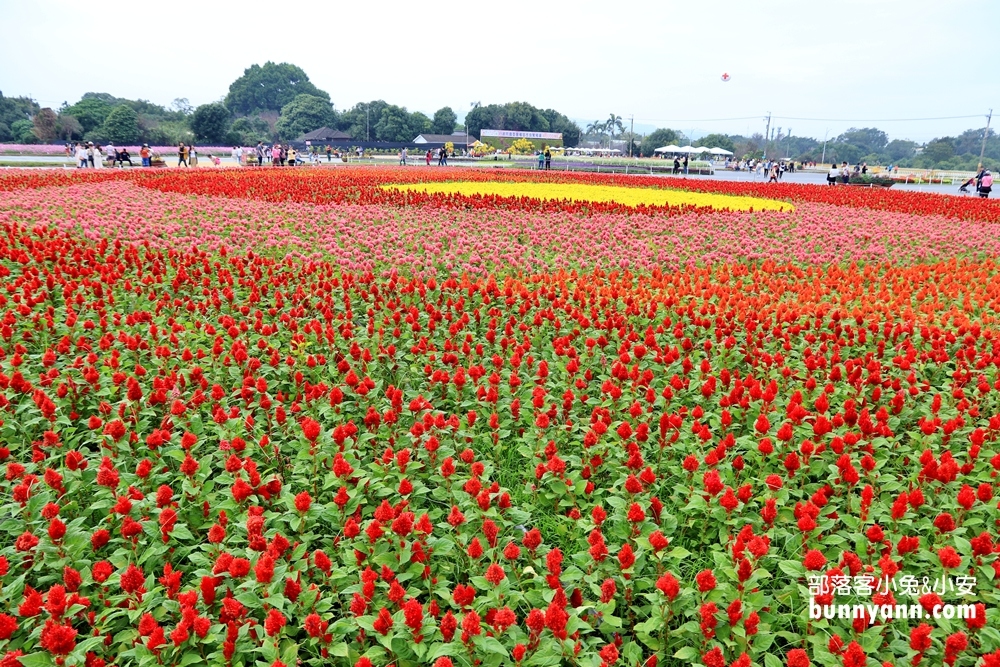 2023【新社花海】飛天漂浮城堡，超美花毯節11/11登場