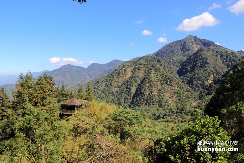 23.鹿谷森林鳥園