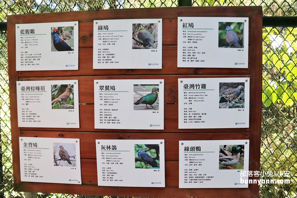 南投鳳凰谷鳥園生態園區，停留時間、門票優惠、環境一次攻略。