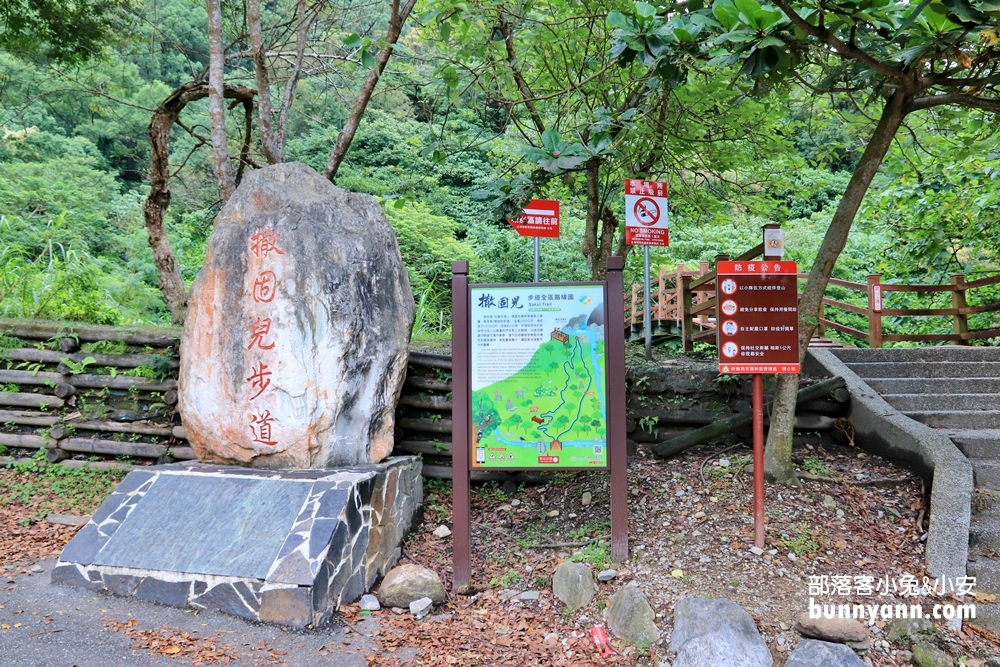 花蓮瀑布森林浴，撒固兒步道入門級森林步道，十分鐘輕鬆賞飛瀑