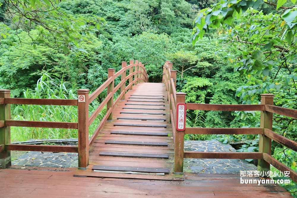 花蓮》瀑布森林浴！撒固兒步道入門級森林步道，十分鐘輕鬆賞飛瀑！