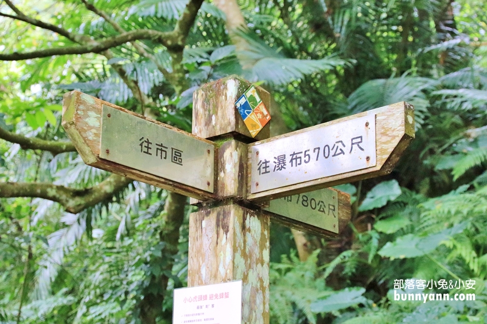 花蓮瀑布森林浴，撒固兒步道入門級森林步道，十分鐘輕鬆賞飛瀑