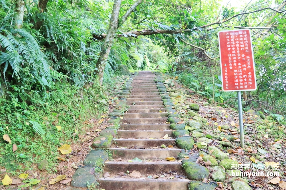 花蓮瀑布森林浴，撒固兒步道入門級森林步道，十分鐘輕鬆賞飛瀑