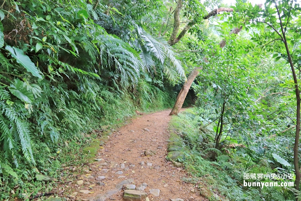 花蓮瀑布森林浴，撒固兒步道入門級森林步道，十分鐘輕鬆賞飛瀑