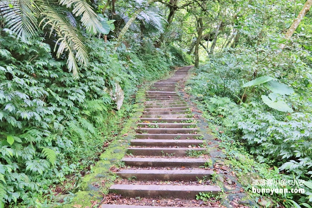 花蓮瀑布森林浴，撒固兒步道入門級森林步道，十分鐘輕鬆賞飛瀑