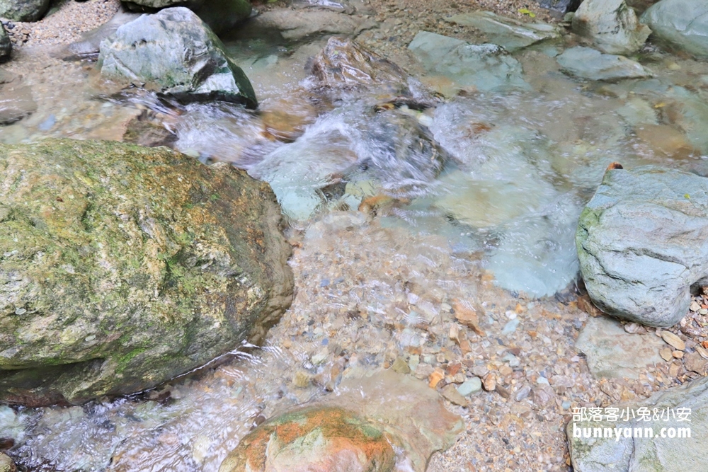 花蓮瀑布森林浴，撒固兒步道入門級森林步道，十分鐘輕鬆賞飛瀑