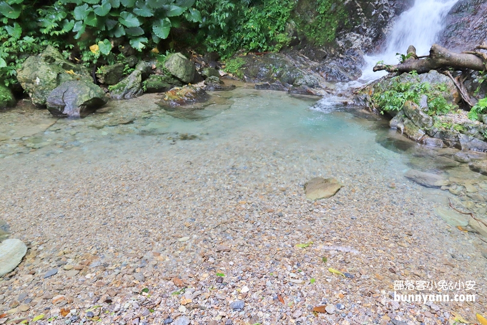 花蓮瀑布森林浴，撒固兒步道入門級森林步道，十分鐘輕鬆賞飛瀑