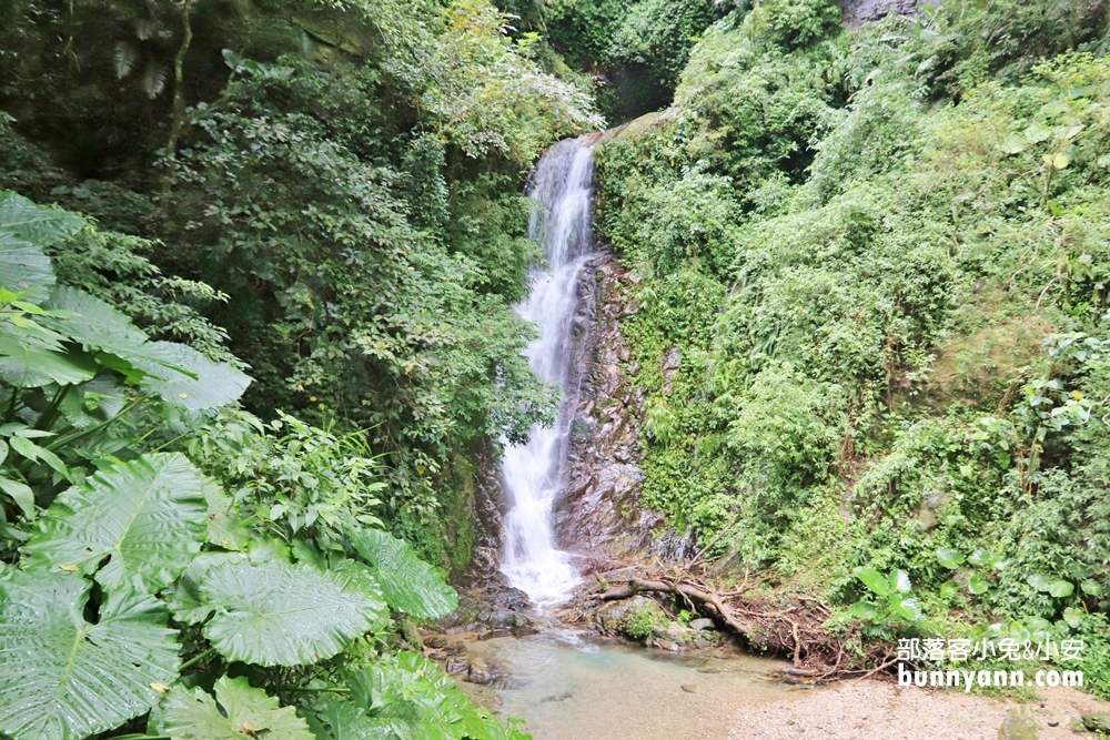 花蓮》瀑布森林浴！撒固兒步道入門級森林步道，十分鐘輕鬆賞飛瀑！