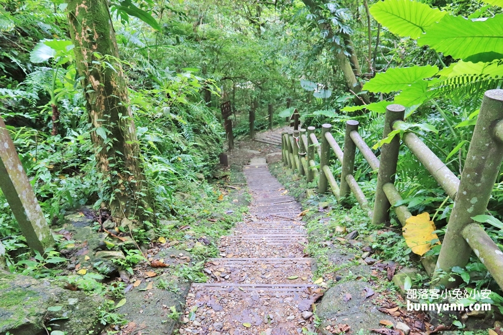 花蓮瀑布森林浴，撒固兒步道入門級森林步道，十分鐘輕鬆賞飛瀑