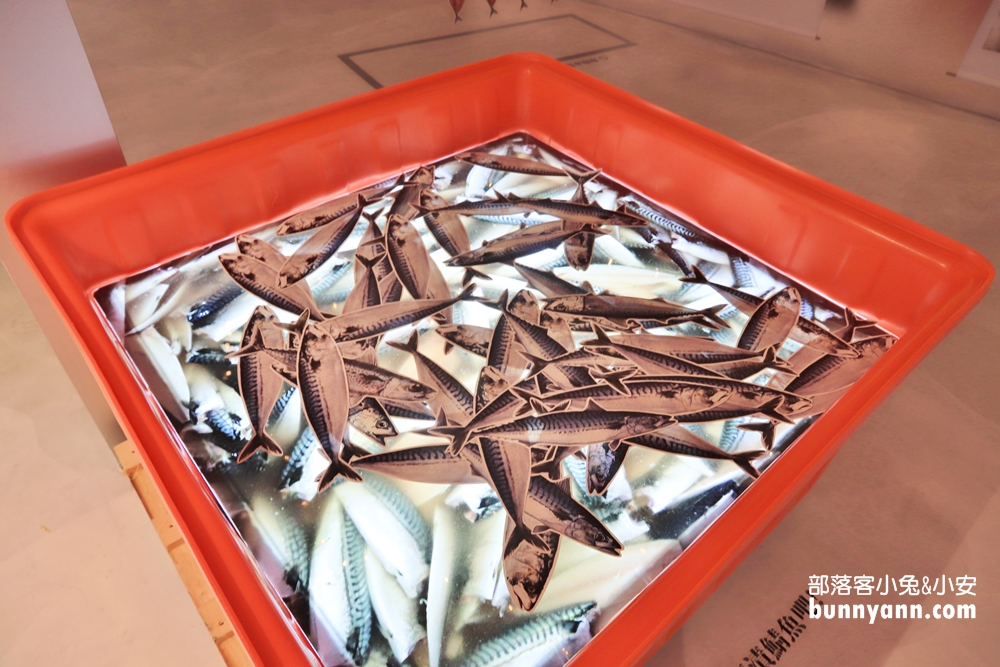 宜蘭【大鯖魚夢工廠】免費試吃、互動遊戲來蘇澳摸魚去