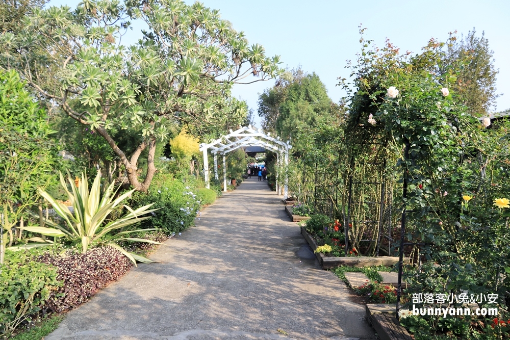 苗栗免費景點》雅聞香草植物工廠，玫瑰花園、哈比小屋隨你拍