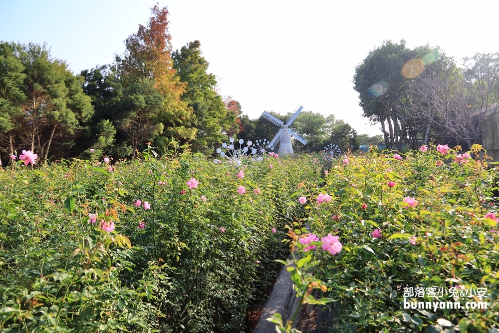 苗栗免費景點》雅聞香草植物工廠，玫瑰花園、哈比小屋隨你拍