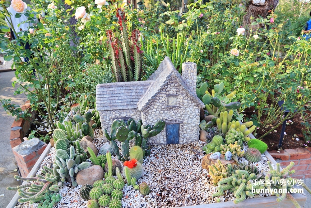 苗栗免費景點》雅聞香草植物工廠，玫瑰花園、哈比小屋隨你拍