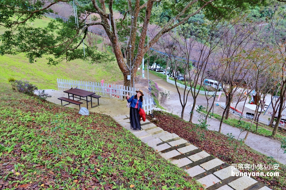 翠墨莊園｜桃園森林系小旅行，美拍鳥居地藏神社。