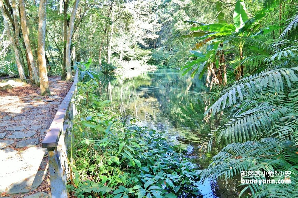 苗栗四十二份湧泉自然生態步道踏青去，翡翠綠湧泉超美的