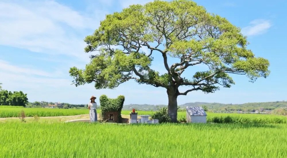 苗栗銅鑼龍貓土地公