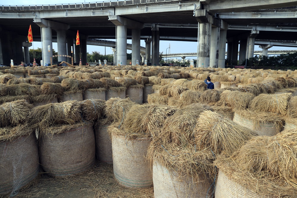 雲林》免費新景點！大埤稻草文化藝術季，全台最大稻草捲迷宮登場，600捆酥脆捲心酥療癒拍起來~