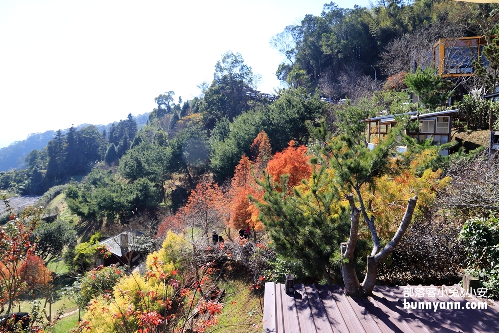 苗栗大湖【鍾鼎山林】雲海景觀咖啡廳・老薑蒸足浴值得來訪