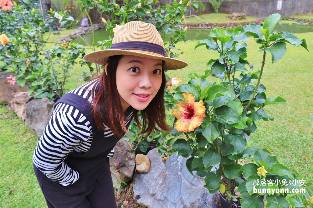 南投隱藏版「懶雲窩」扶桑花園區，美拍下午茶、踏青好愜意