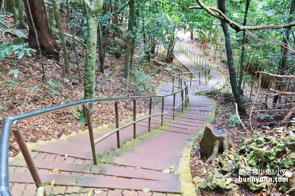 墾丁國家森林遊樂區｜地底洞穴、巨大神木小徑散步(門票優惠)