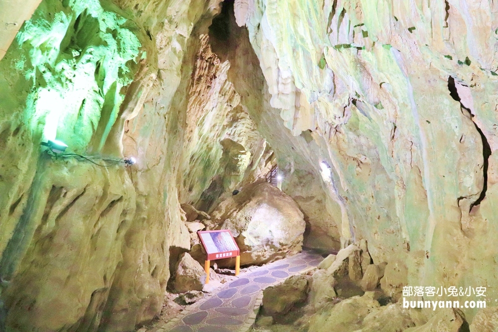 【墾丁國家森林遊樂區】暢遊地底洞穴、巨大神木小徑冒險趣