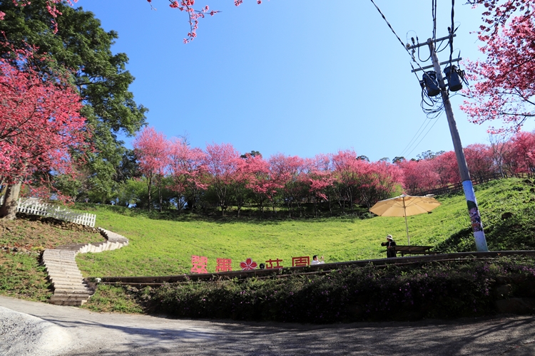 翠墨莊園｜桃園森林系小旅行，美拍鳥居地藏神社。