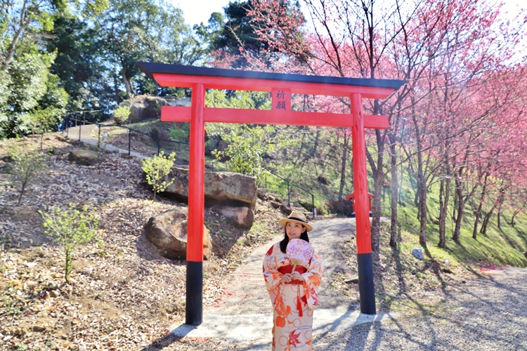 翠墨莊園｜桃園森林系小旅行，美拍鳥居地藏神社。