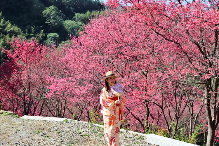 翠墨莊園｜桃園森林系小旅行，美拍鳥居地藏神社。