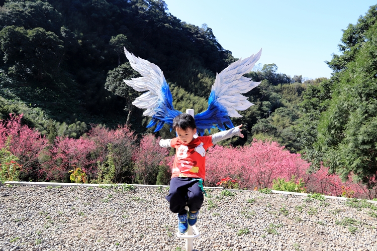 翠墨莊園｜桃園森林系小旅行，美拍鳥居地藏神社。