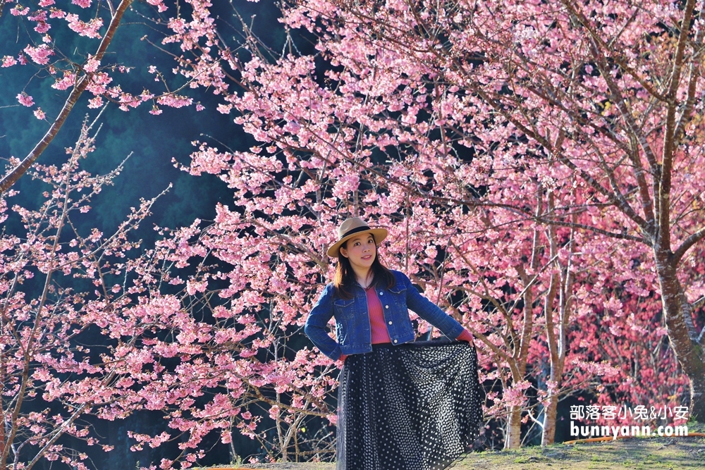 新竹戶外景點》山上人家森林農場，門票費用與一日遊這樣玩