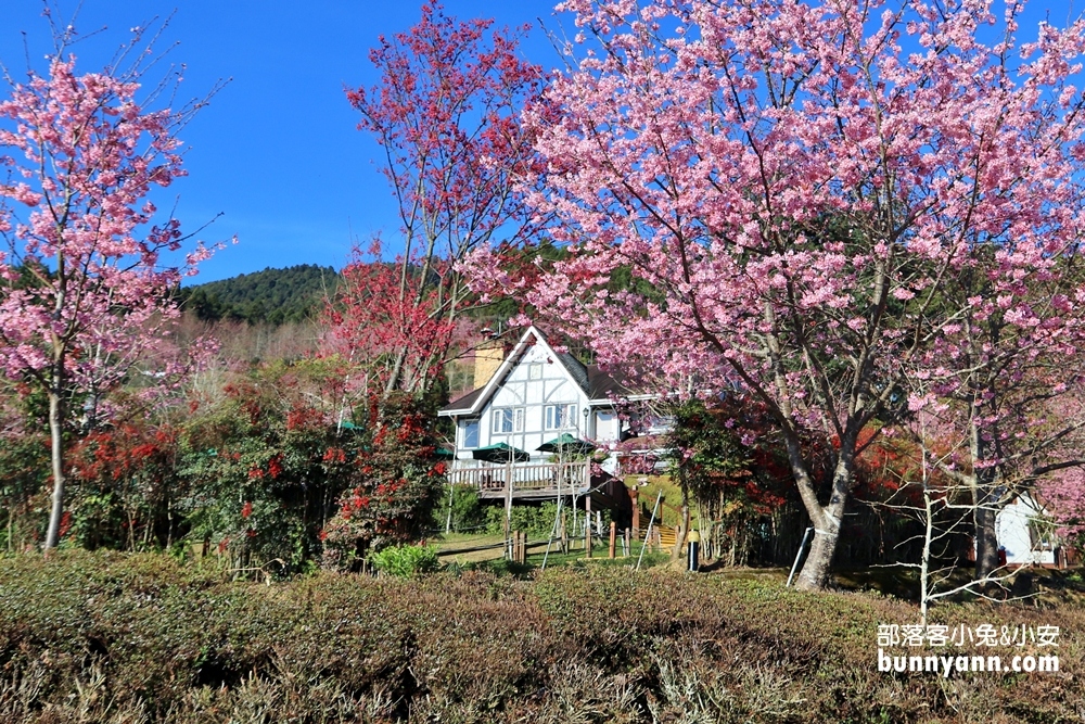 新竹戶外景點》山上人家森林農場，門票費用與一日遊這樣玩