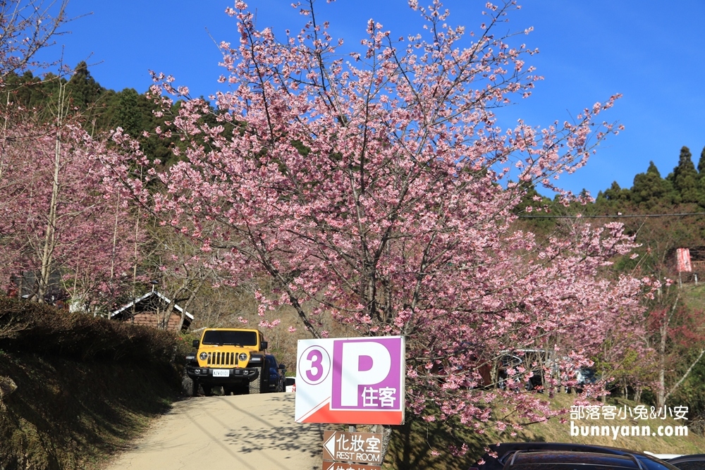 新竹戶外景點山上人家森林農場門票費用與一日遊攻略