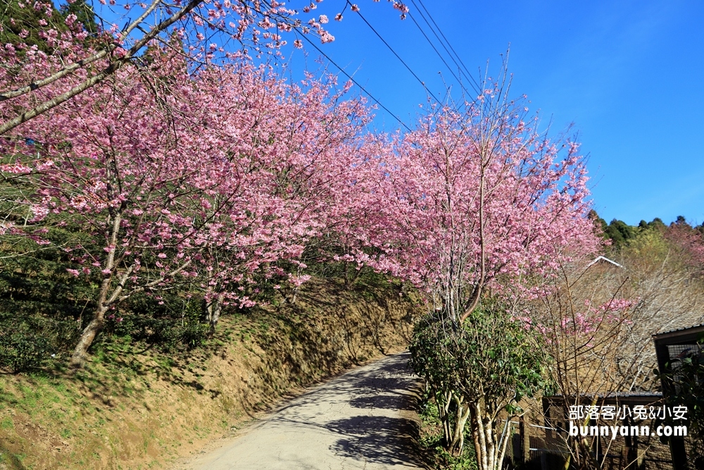 新竹戶外景點》山上人家森林農場，門票費用與一日遊這樣玩