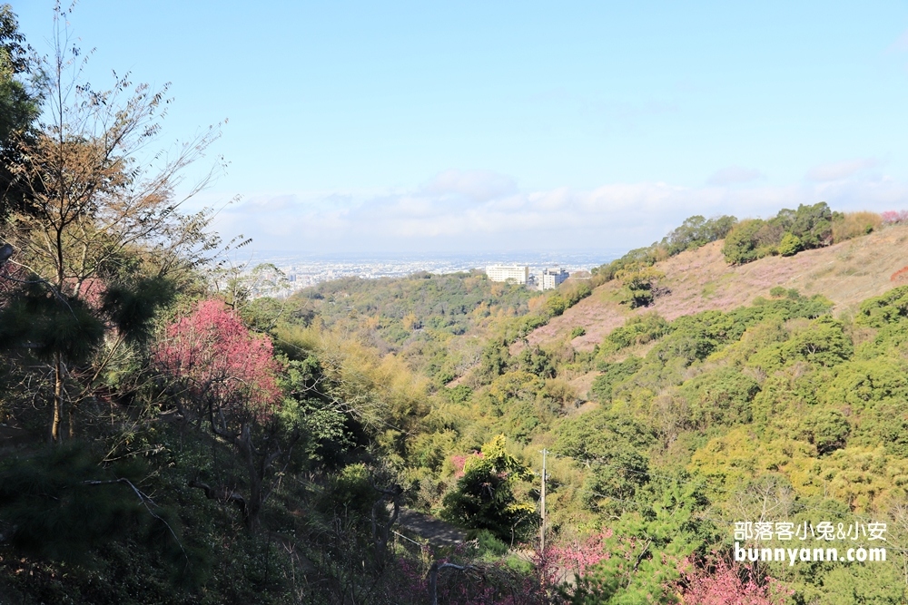 台中》戶外賞景去！流星花園景觀餐廳民宿，眺望公老坪山嵐，三層樓溜滑梯好好玩