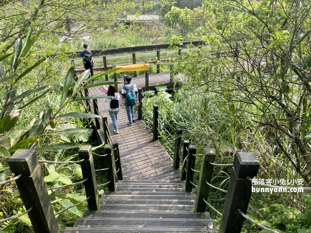 新北森林秘境》望古瀑布，10分鐘攻略天然瀑布美景