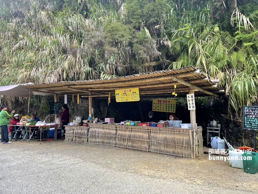 雲林草嶺》五元兩角，台版小京都嵐山竹林，走進美麗竹林隧道