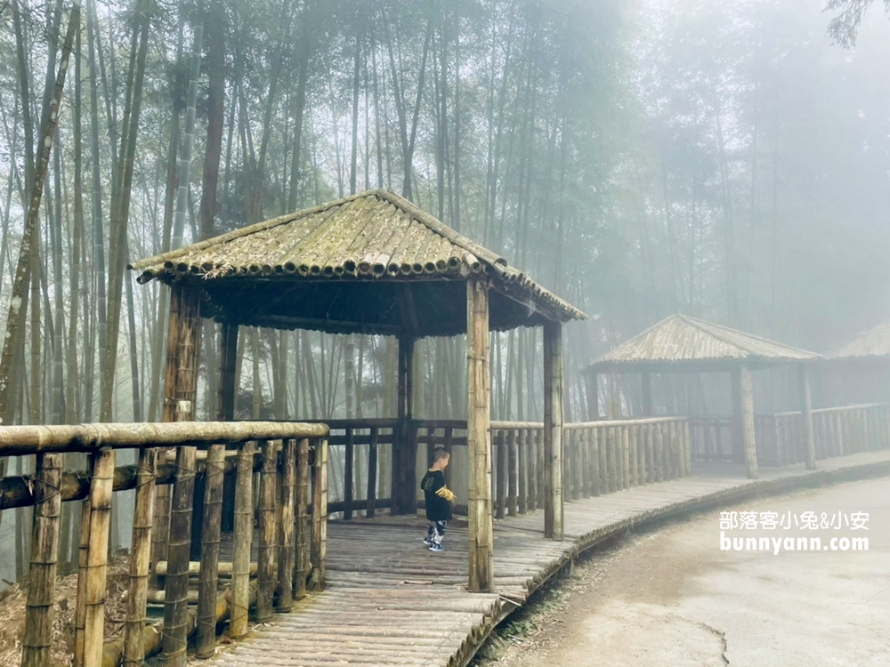 雲林草嶺》五元兩角，台版小京都嵐山竹林，走進美麗竹林隧道