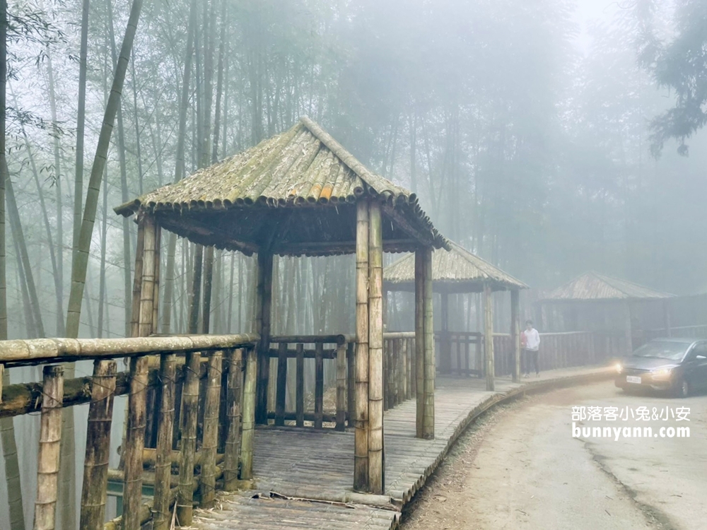 雲林草嶺》五元兩角，台版小京都嵐山竹林，走進美麗竹林隧道