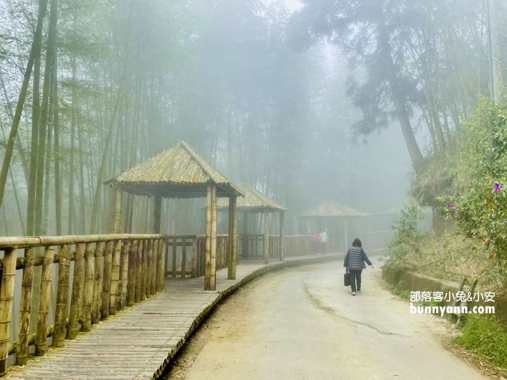 雲林草嶺【五元兩角】台版小京都嵐山竹林，走進美麗竹林隧道