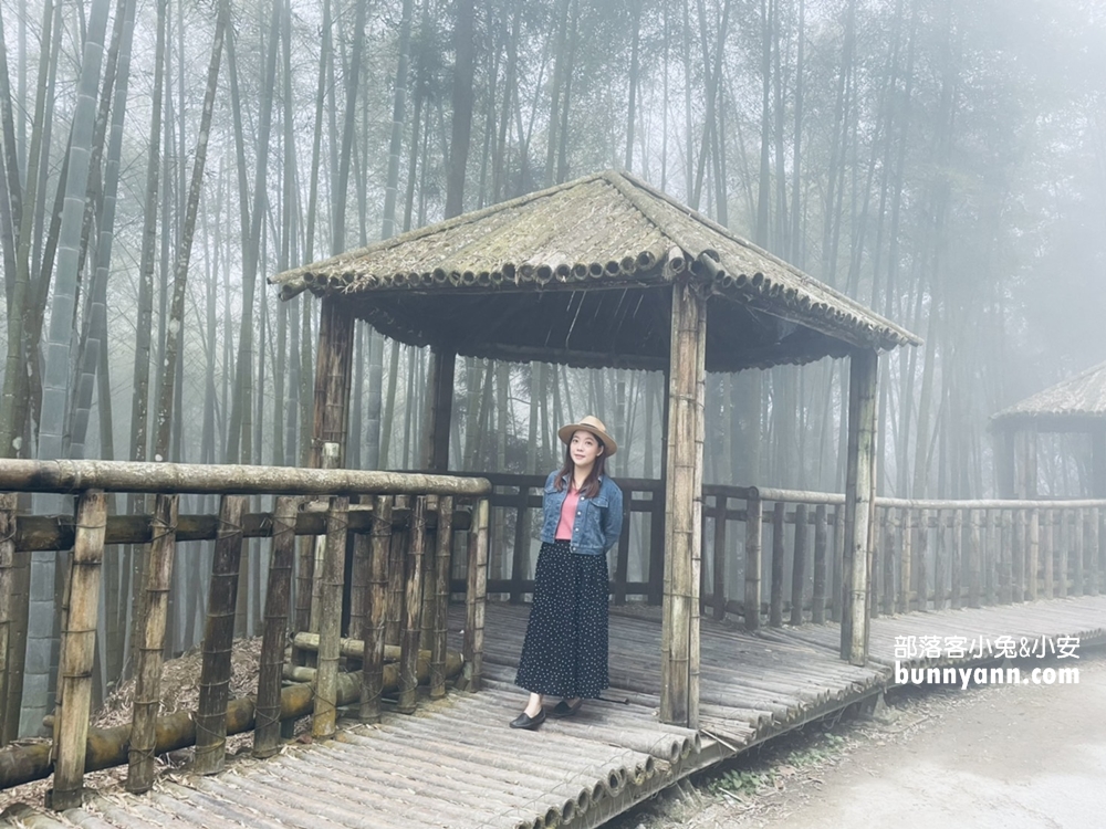 雲林草嶺》五元兩角，台版小京都嵐山竹林，走進美麗竹林隧道