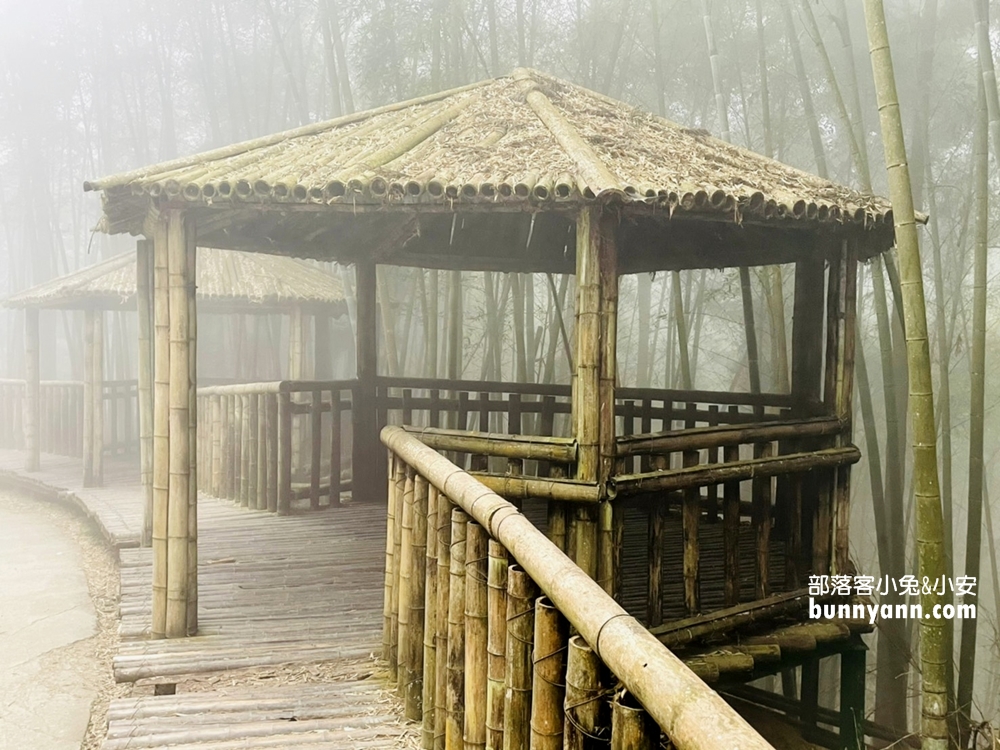 雲林草嶺》五元兩角，台版小京都嵐山竹林，走進美麗竹林隧道