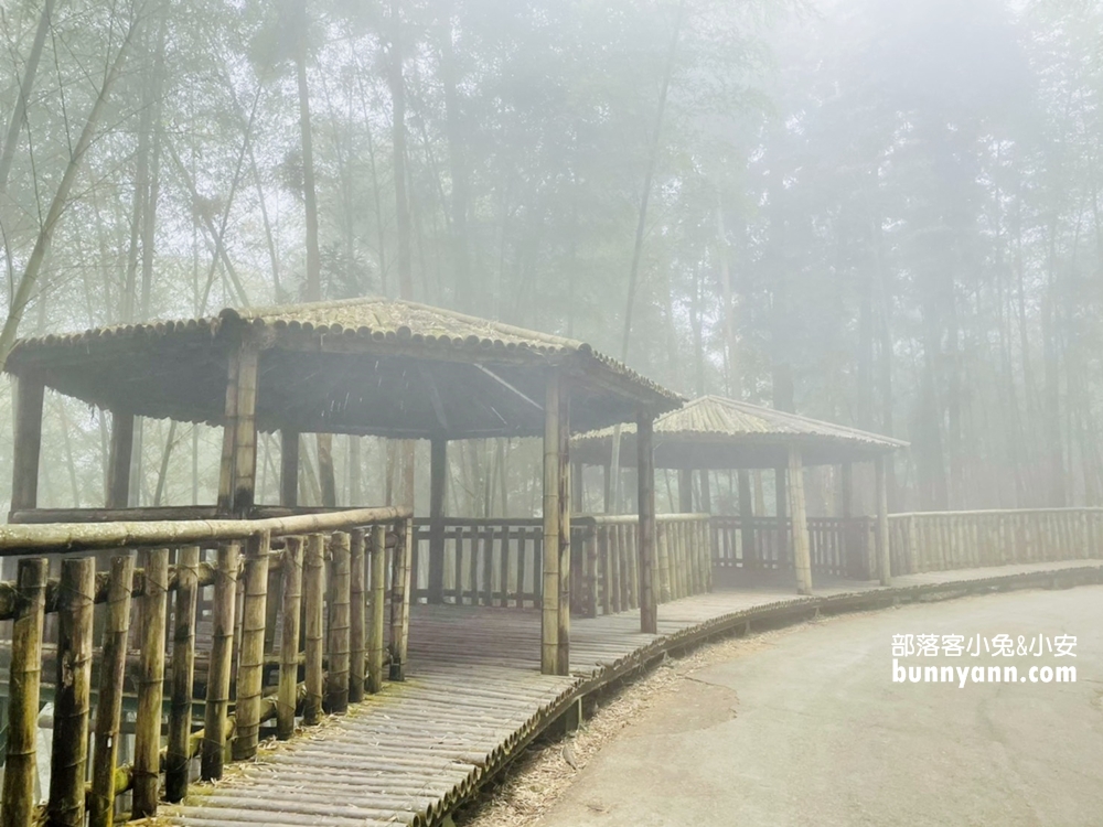 雲林草嶺【五元兩角】台版小京都嵐山竹林，走進美麗竹林隧道