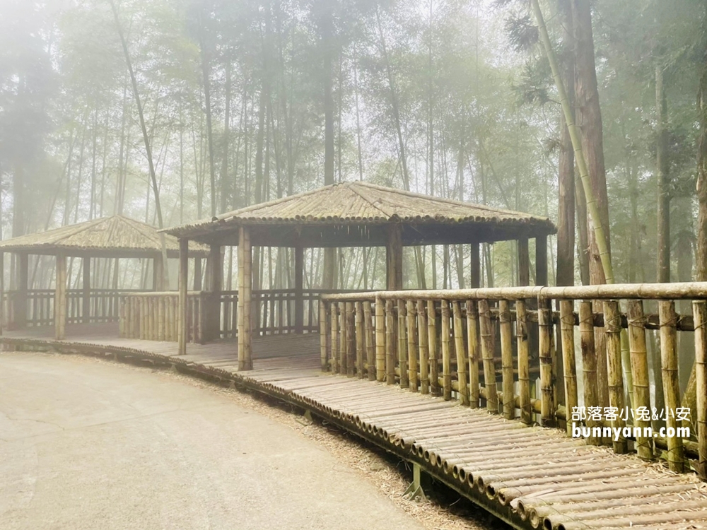 雲林草嶺》五元兩角，台版小京都嵐山竹林，走進美麗竹林隧道