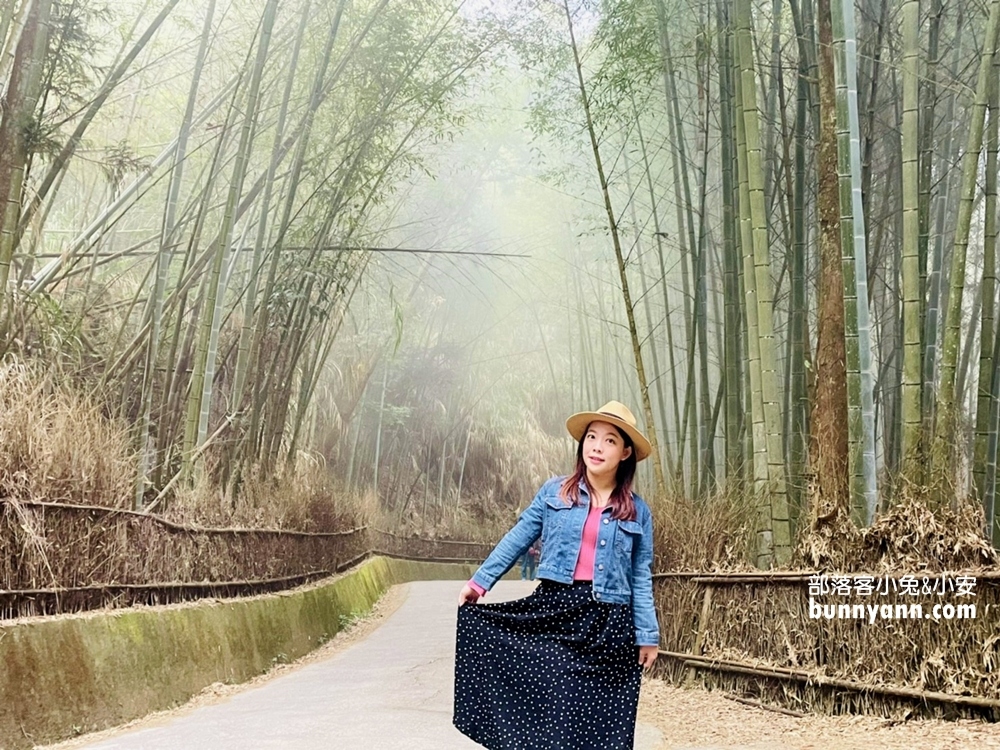 雲林草嶺【五元兩角】台版小京都嵐山竹林，走進美麗竹林隧道