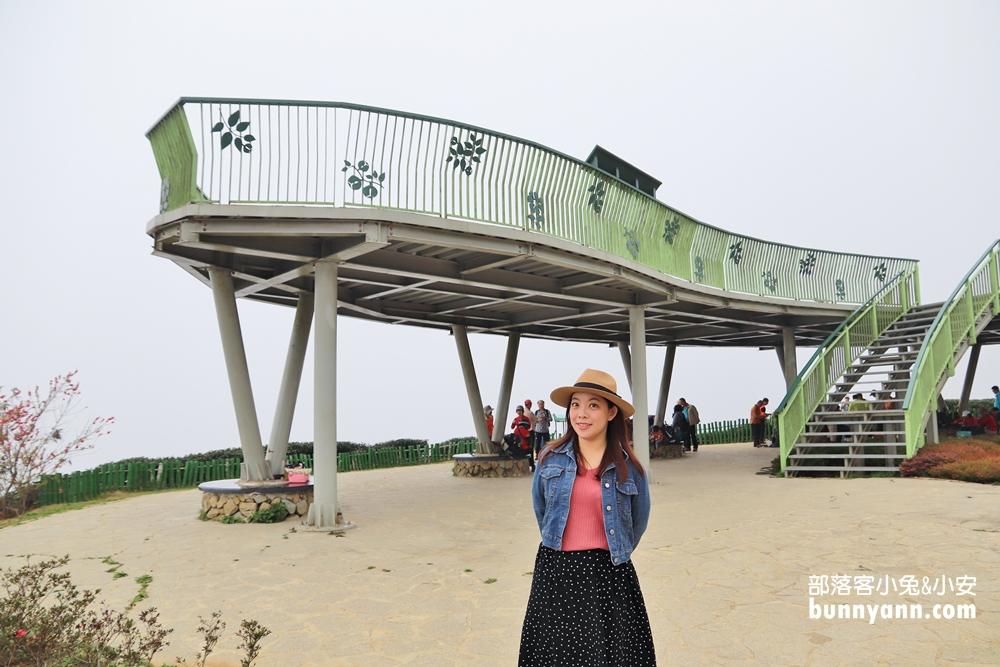 雲林山丘秘境【雲嶺之丘】5分鐘漫步翠綠茶園，無死角視野超美