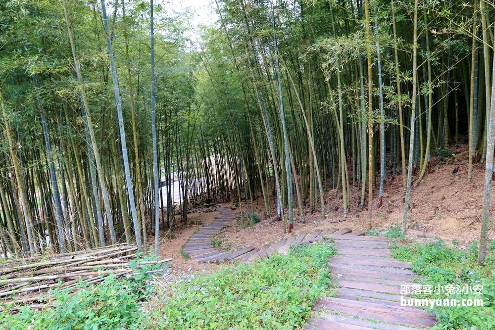 雲林草嶺私房》連心池瀑布，石壁仙谷壯麗河谷風貌旅遊指南