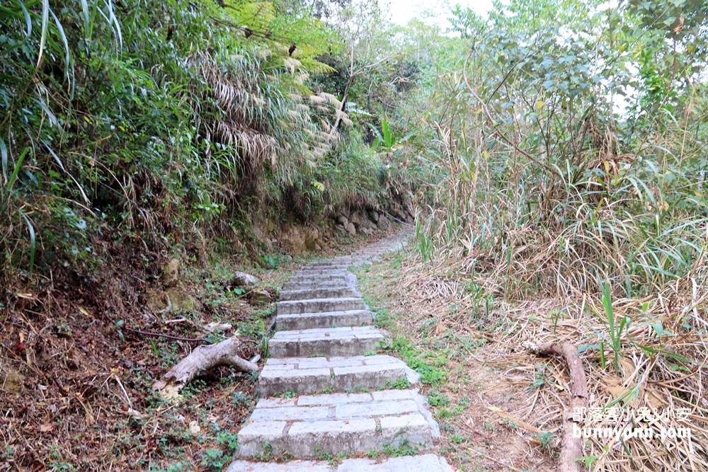 雲林草嶺私房》連心池瀑布，石壁仙谷壯麗河谷風貌旅遊指南