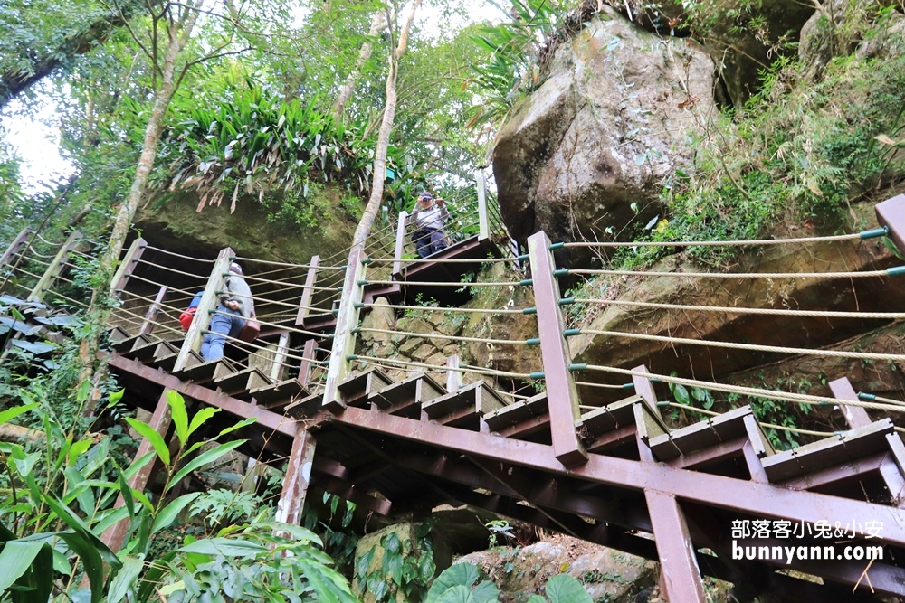 雲林草嶺【五元兩角】台版小京都嵐山竹林，走進美麗竹林隧道